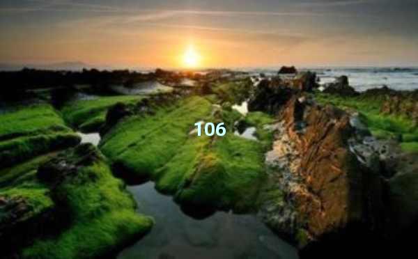 AI在线写文章：高效创作的新选择