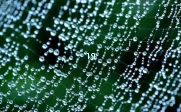 AI助手在线写作：高效创作的全新体验