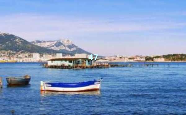 AI帮你写文稿：高效、便捷的创作新时代