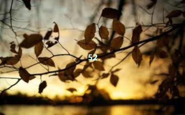 AI在线写作免费一键生成-解放你的创作灵感