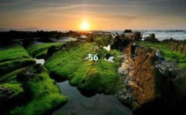 AI工具识别：提升效率与精确度的智能助手