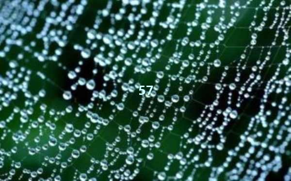 AI工具代理：释放无限潜力，轻松开启智能工作新时代