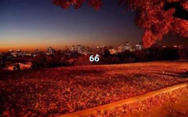 AI如何理解文章：智能阅读的奥秘