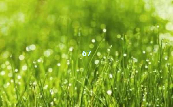 AI工具免费使用：助力个人与企业高效工作的利器