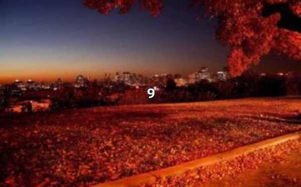 AI工具写作：高效创作新时代